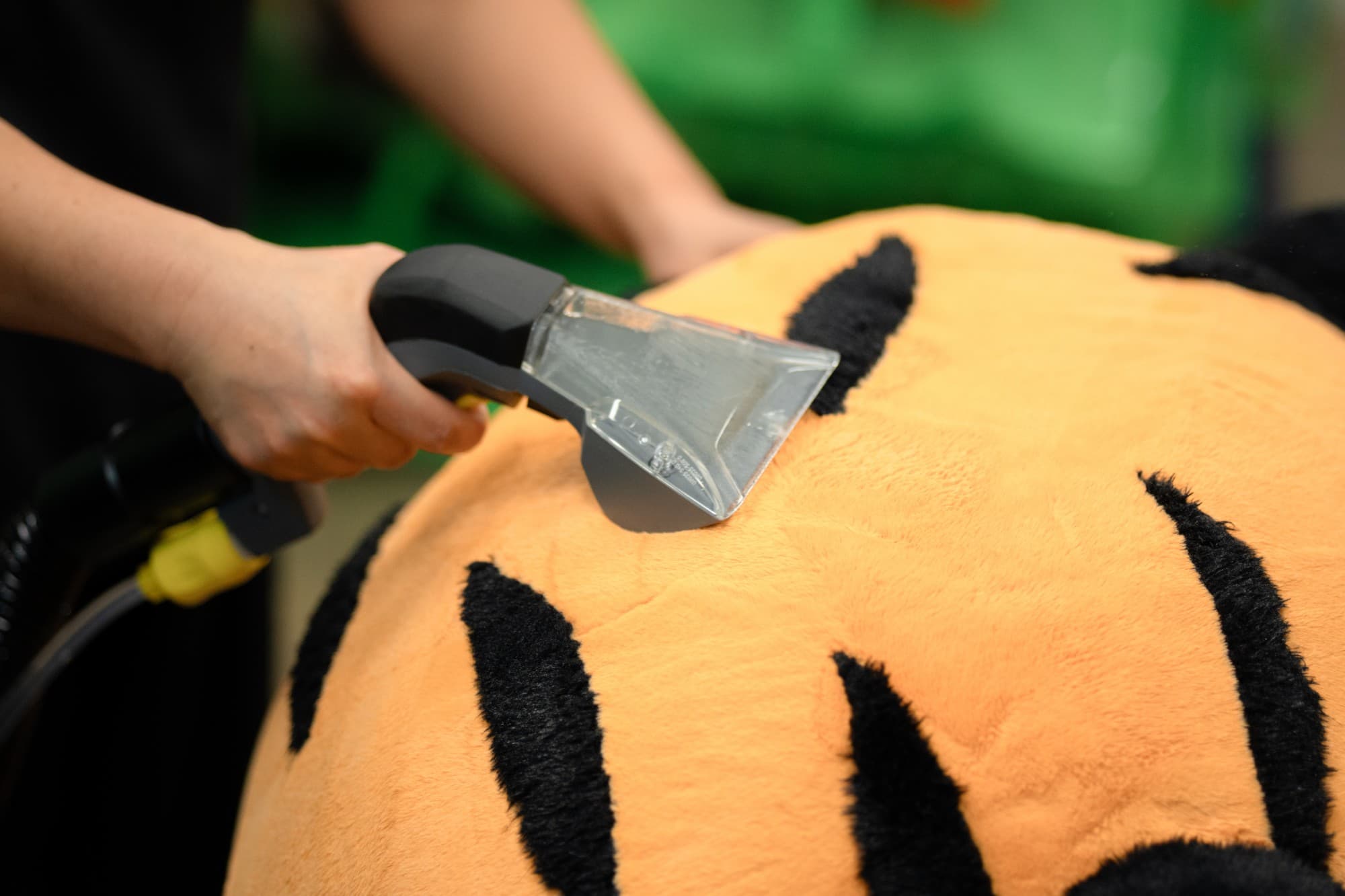 A team member deep cleaning the fur of an orange and black striped mascot costume with an extraction cleaner