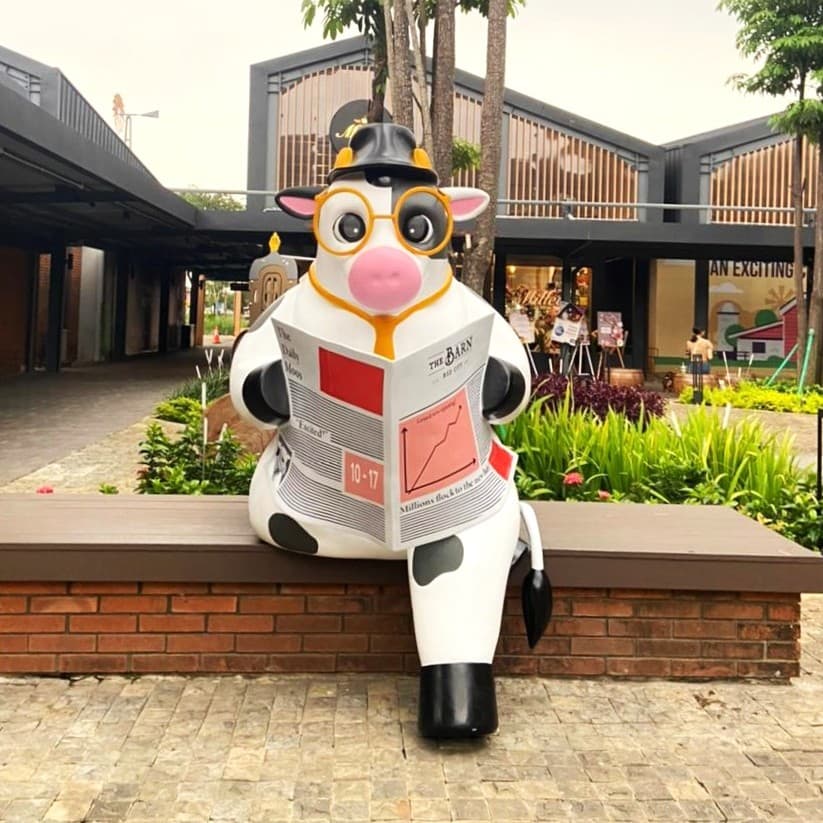 Sapi-sapi Lucu